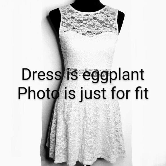 Garage Brand Mini Skater Dress Lace Eggplant Color Sheer Neck and Waist size XS - Picture 7 of 7